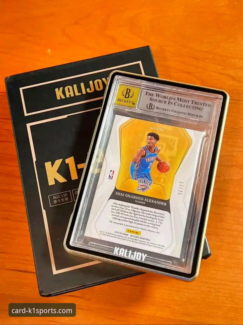 3个关键回合，解析亚历山大如何用47分在K1体育棋牌软件上点燃我的观赛之夜